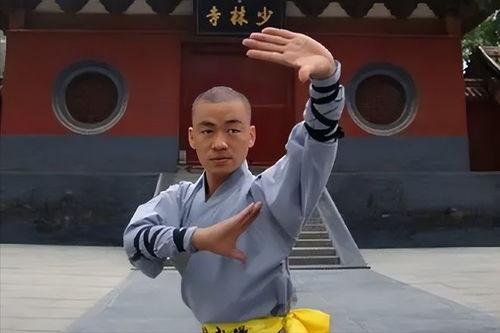 宝强哥最新爆料消息视频,最新爆料视频深度解析